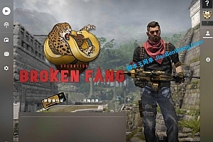 CSGO 单机版v1.37.8.8支持免联机断网游玩 Counter-Strike Global Offensive