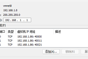 天翼之链外网架设的研究